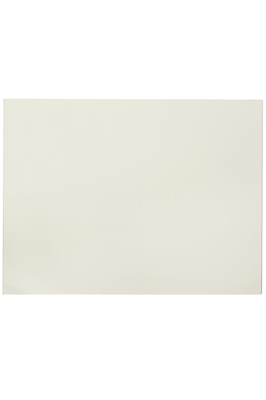 Fabriano 1264 Bristol Pad, 100 lb, 20 Sheets