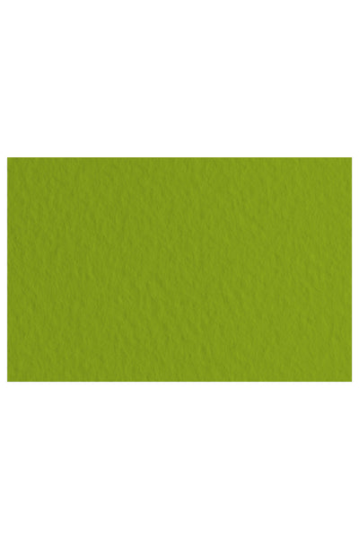 Fabriano Tiziano Drawing Paper, 20 in x 26 in, 98 lb./ 160 gsm, Pack of 10