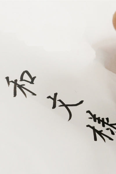 Kuretake® Bimoji Fude Pen, Medium Nib, Wamonyo