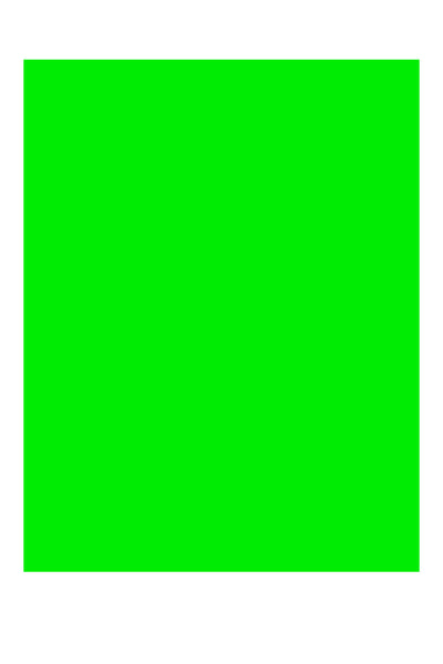Laser Green Neon Labels, 8-1/2" x 11", 1/Sheet, 100 Labels/Bx