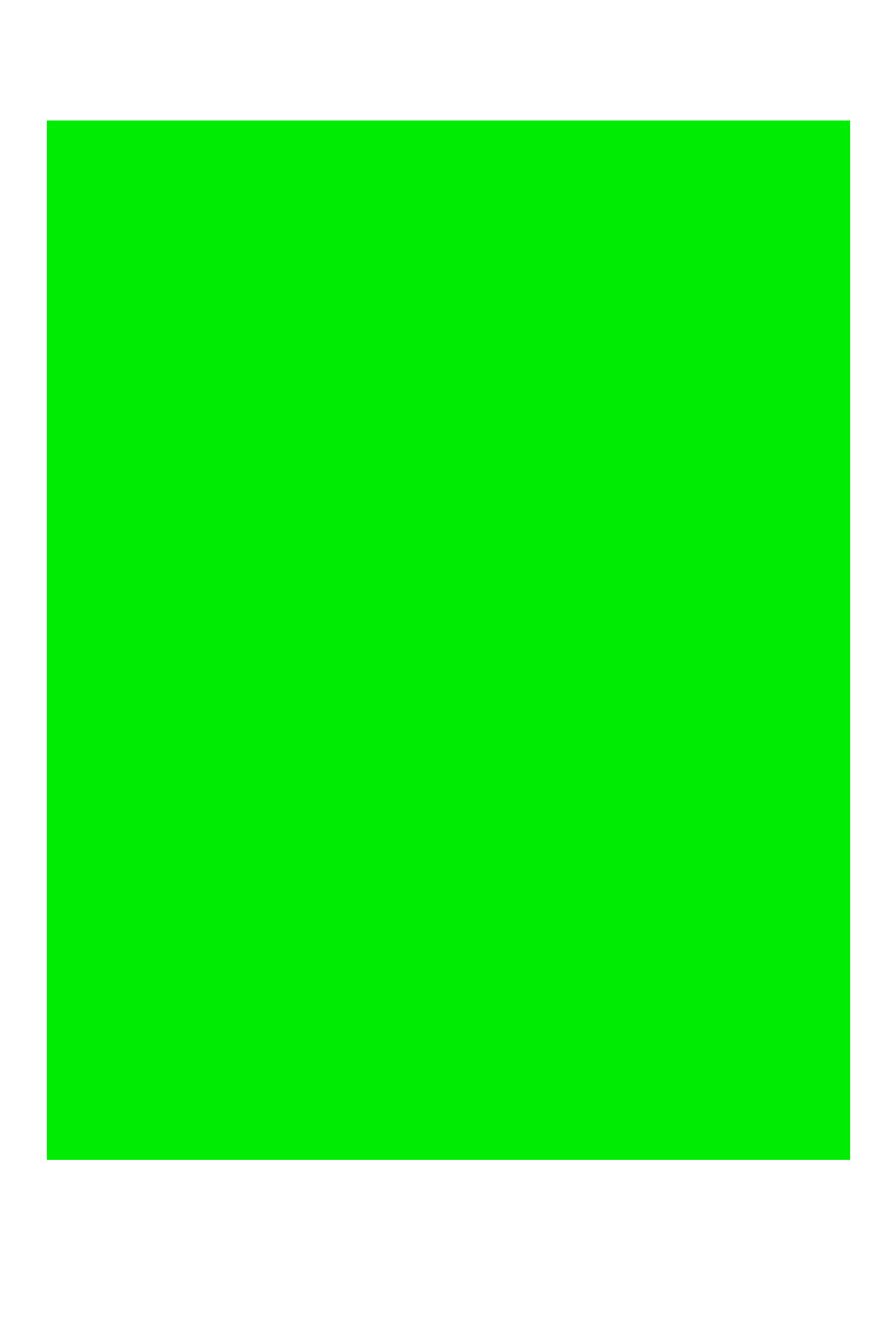 Laser Green Neon Labels, 8-1/2" x 11", 1/Sheet, 25 Sheets/Pk