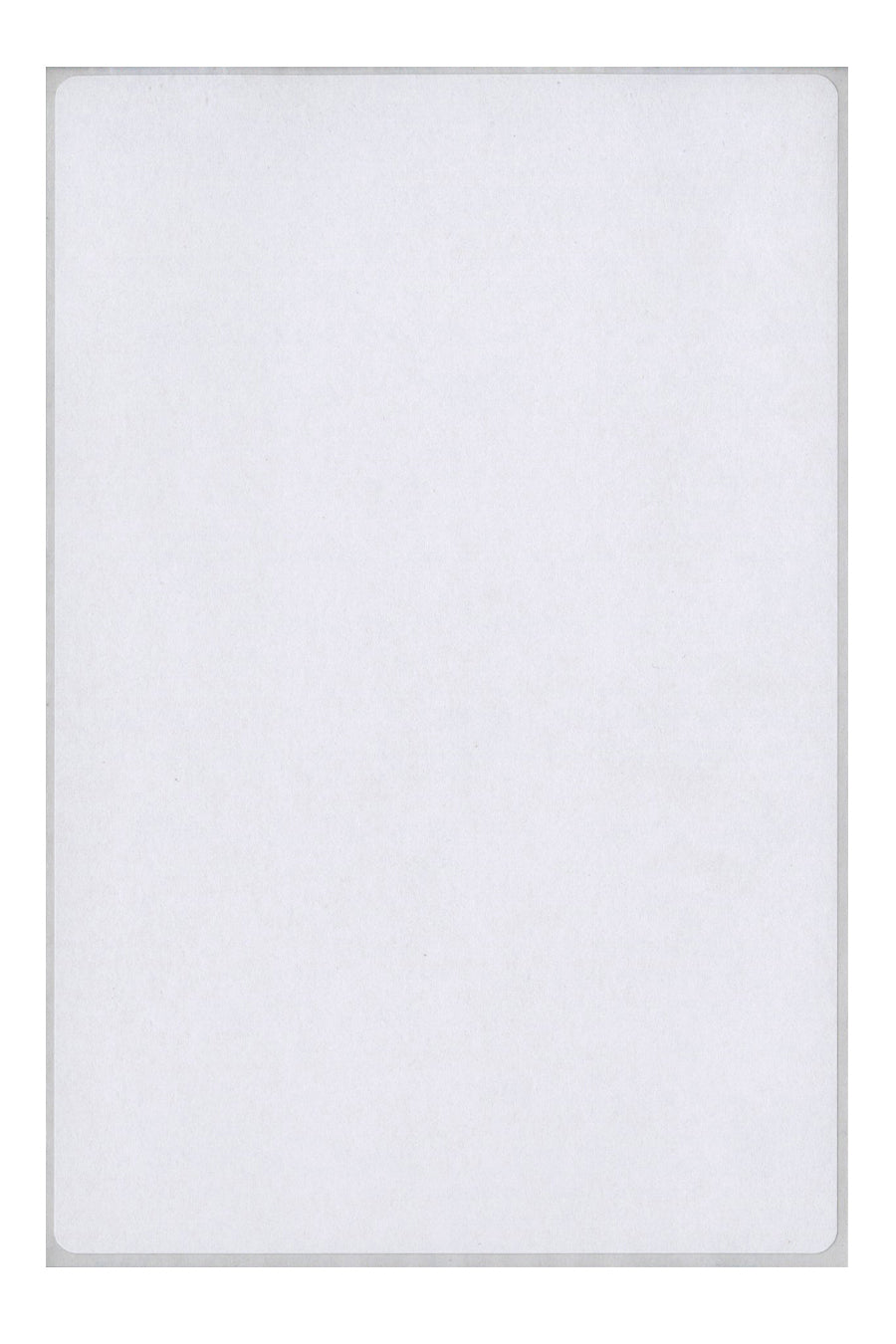 White Multi-Purpose Labels, 4" x 6", Rectangle, 40/Bx